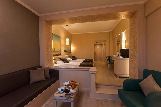 Standart Kara Manzaralı Oda